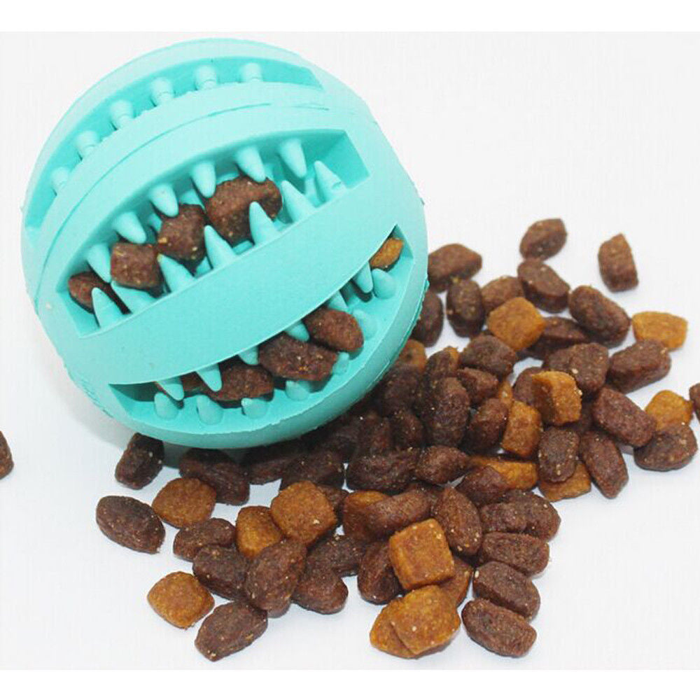 Rubber Dog Treat Ball – Mint Scent Food Dispensing Toy