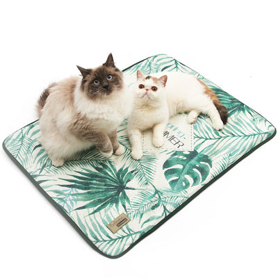 Comfy Dog Cushion – Soft, Supportive & Washable