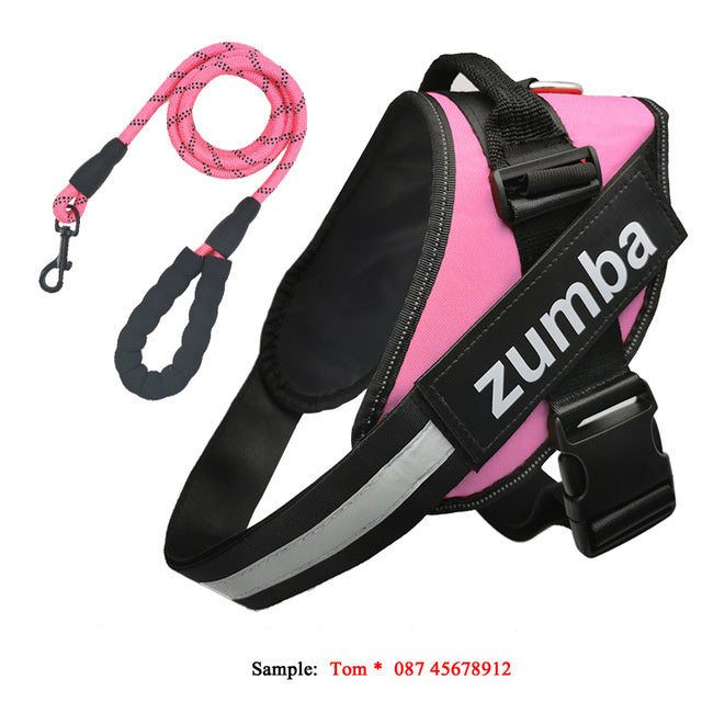 Reflective Adjustable Dog Harness & Leash Set – Personalized