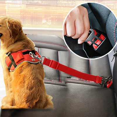 Retractable Dog Leash – Car Safety Seatbelt & Walking Rope