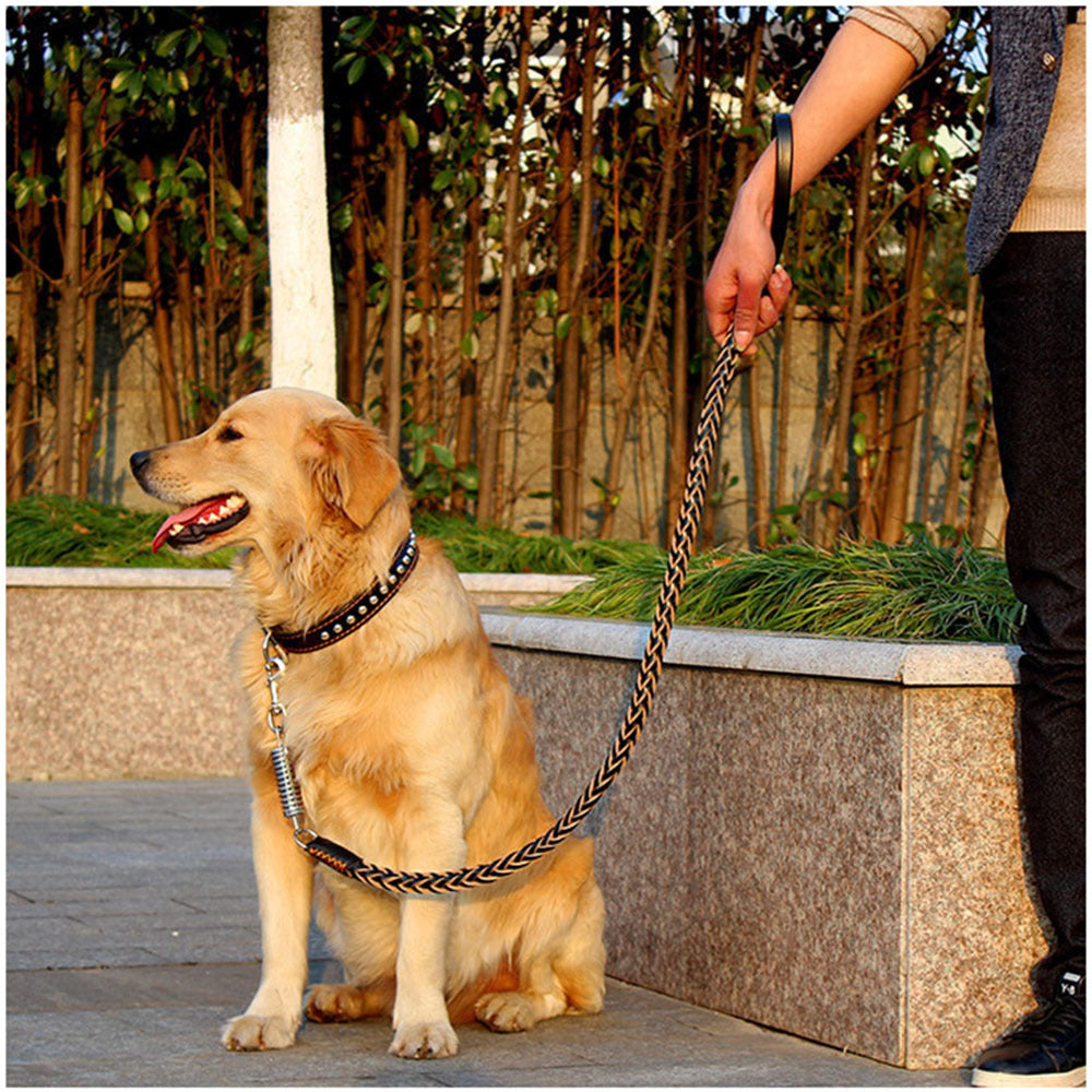 8-Strand Leather Dog Leash – Durable Cowhide Spring Rope