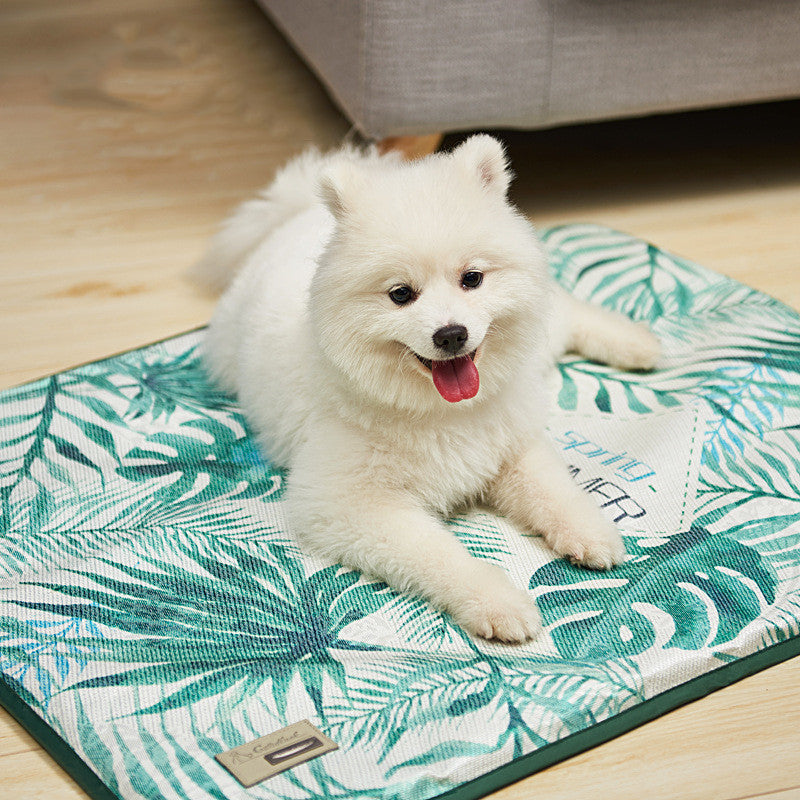 Comfy Dog Cushion – Soft, Supportive & Washable
