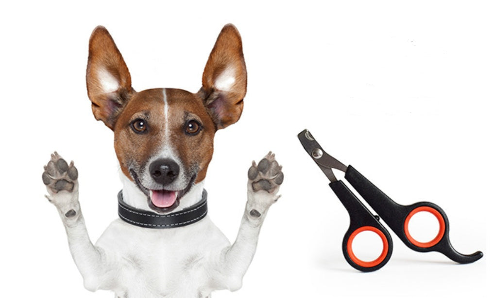 Dog Nail Clipper – Pet Nail Scissors