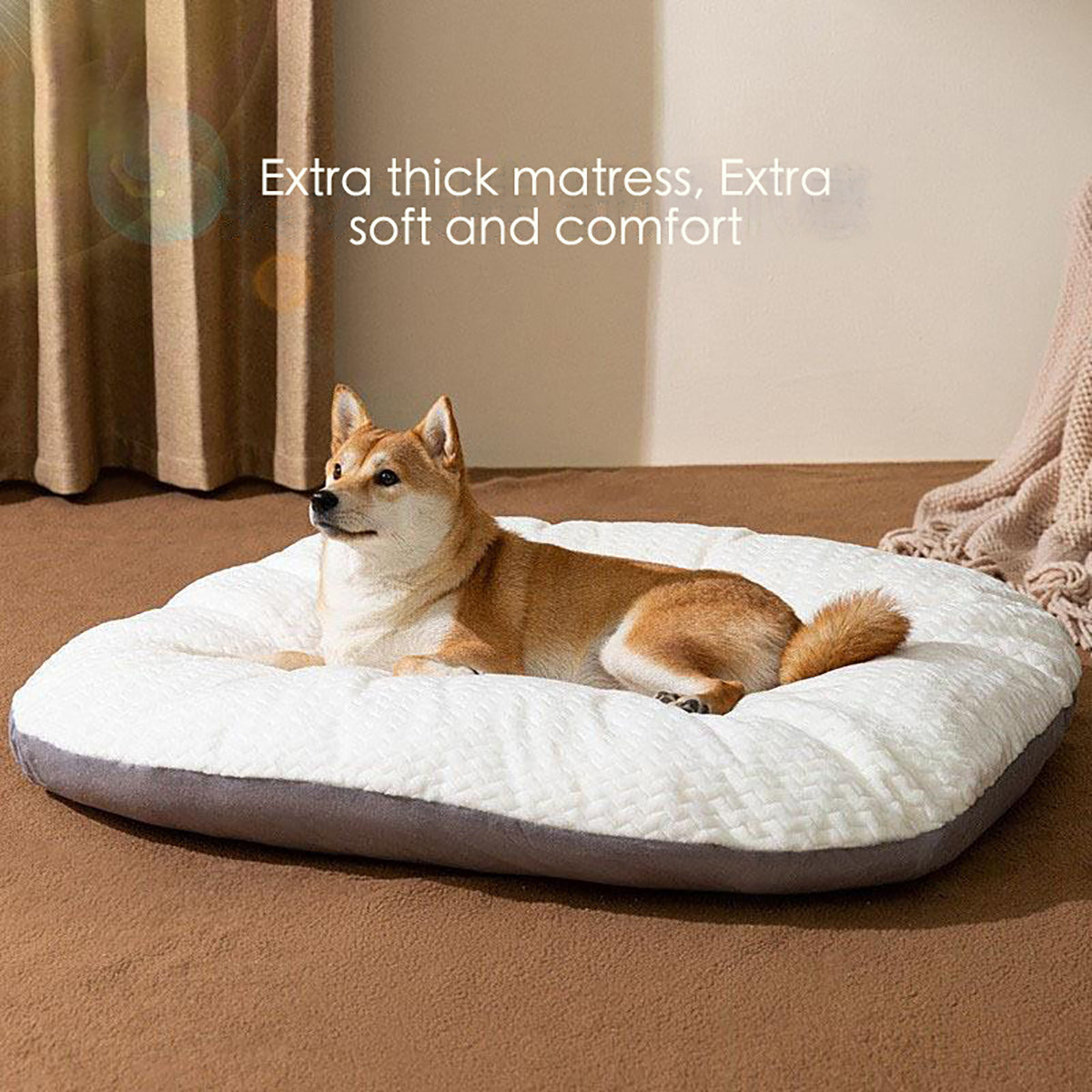 Oval Dog Bed – Large Washable Cushion for Crates & Sleeping Comfort