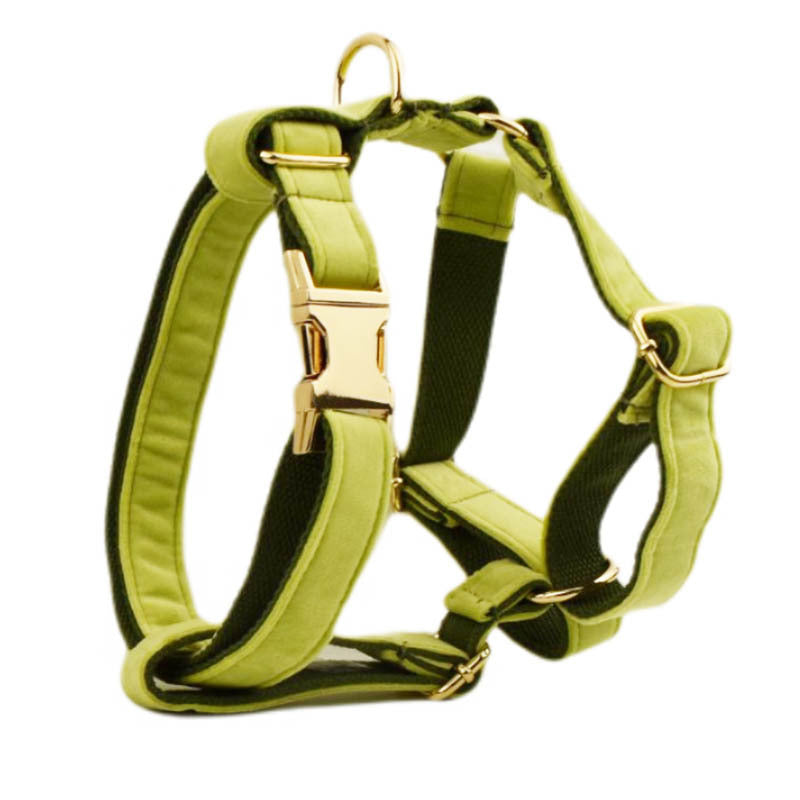 Velvet Dog Collar – Soft Fabric Pet Collar