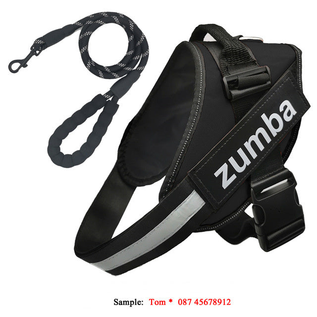 Reflective Adjustable Dog Harness & Leash Set – Personalized
