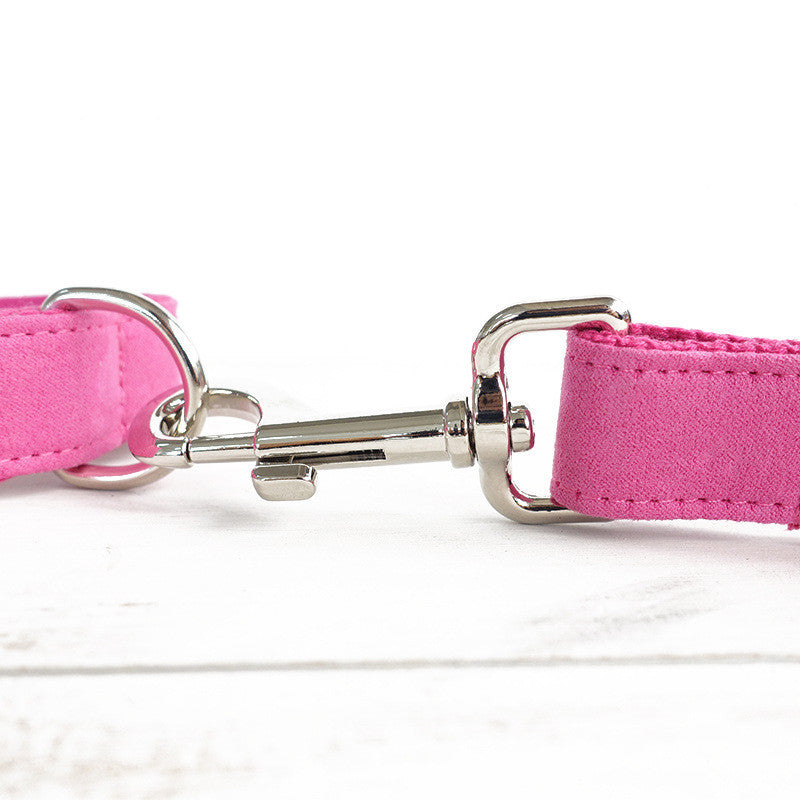 Dog Collar & Leash Set – Bite-Resistant Traction Rope for Pets