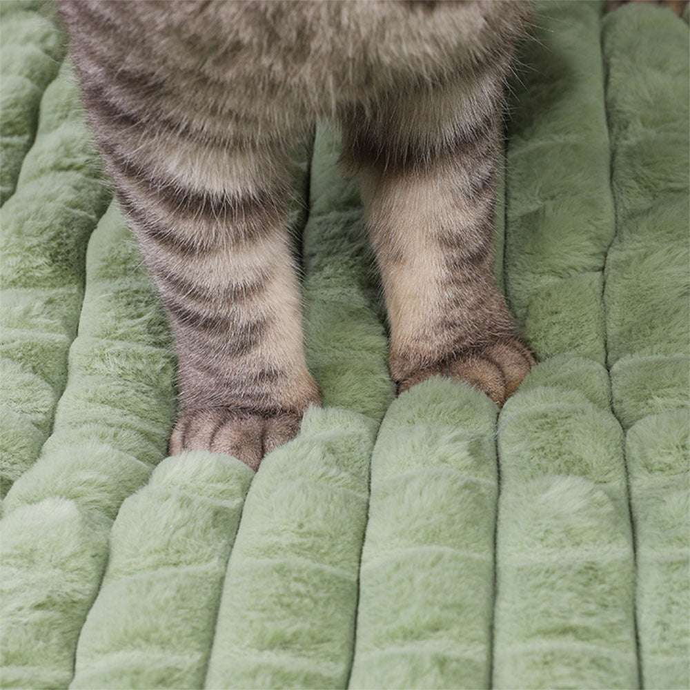 Winter Warm Removable Pet Bed – Cat & Dog Sleeping Pad in All Sizes