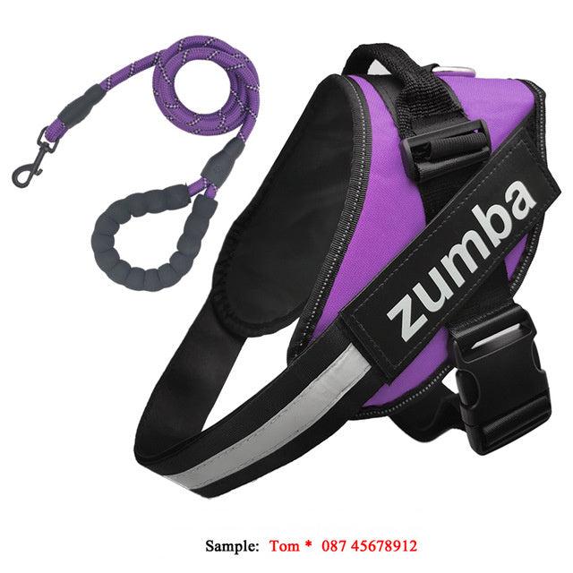 Reflective Adjustable Dog Harness & Leash Set – Personalized