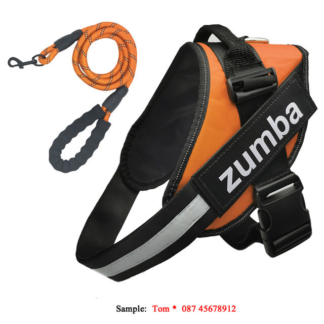 Reflective Adjustable Dog Harness & Leash Set – Personalized