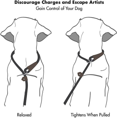 Durable Nylon Dog Leash – Pull-Resistant Round Rope for Walking