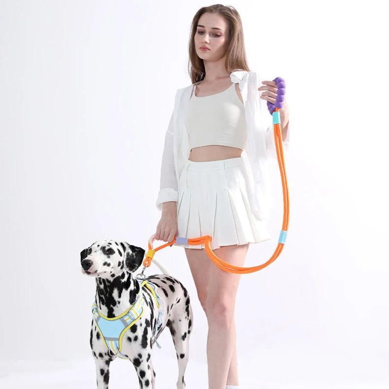 Dog Traction Rope Leash – Anti-Slip with Comfortable Foam Handle