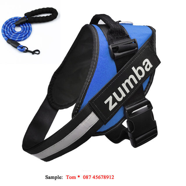 Reflective Adjustable Dog Harness & Leash Set – Personalized