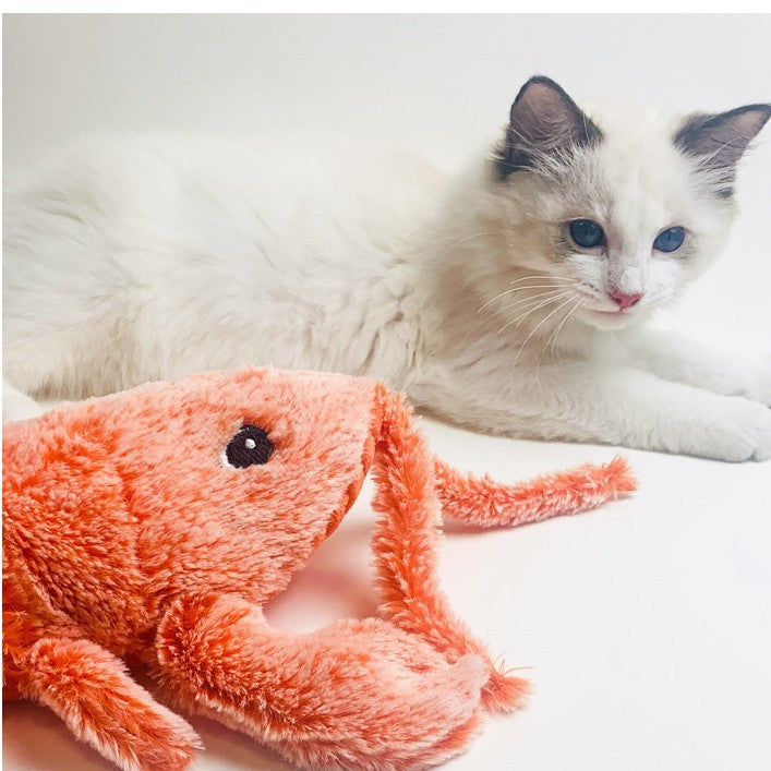 Electric Flopping Lobster Cat Toy – USB Rechargeable Plush Pet Toy