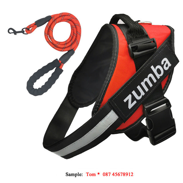 Reflective Adjustable Dog Harness & Leash Set – Personalized