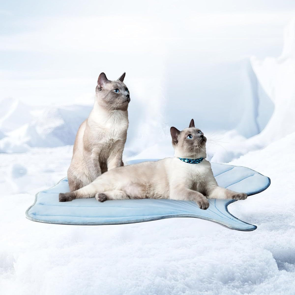 Summer Cooling Pet Mat – Cat & Dog Ice Pad with Ginkgo Leaf Design
