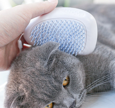 White Pet Grooming Brush – Cat & Dog Hair Remover Comb