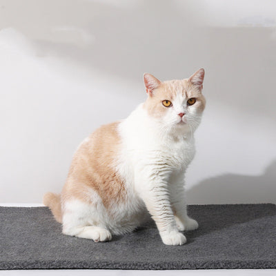 Self-Heating Pet Blanket – Warm & Cozy for Dogs