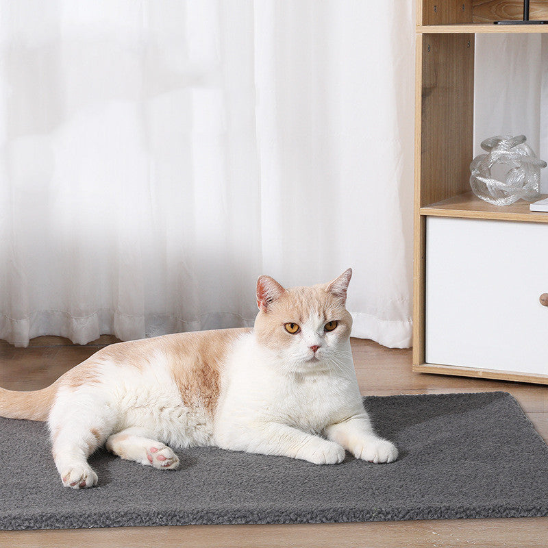 Self-Heating Pet Blanket – Warm & Cozy for Dogs