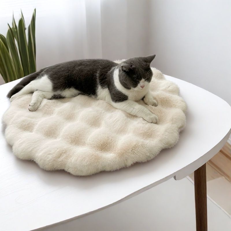 Plush Round Pet Bed – Warm Autumn & Winter Sleeping Pad