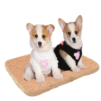 3-Layer Pet Mat – Quick Absorbent & Warm Dog Cat Sleeping Pad