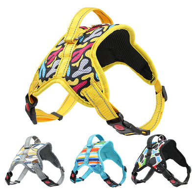 Reflective Dog Harness & Leash Set – Adjustable Pet Walking Gear