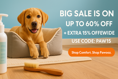 Best Portable Dog Mats & Beds for Travel | Pawooz
