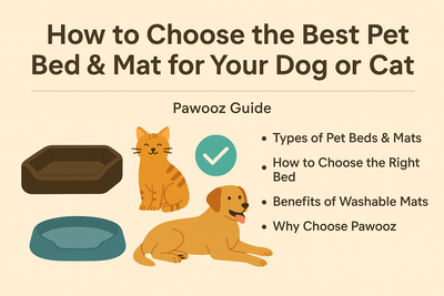 How to Choose the Best Pet Bed & Mat for Your Dog or Cat | Pawooz Guide