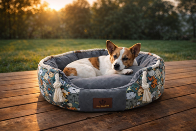 Best Orthopedic Dog Beds for Large Dogs (Vet-Backed Picks)