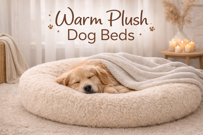 Warm plush dog beds designed for cozy indoor comfort during colder seasons