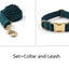 Sapphire Green Velvet Pet Collar & Leash – Gold Buckle Hardware