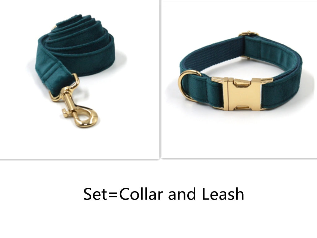 Sapphire Green Velvet Pet Collar & Leash – Gold Buckle Hardware