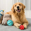 Interactive Dog Treat Ball – Chew Toy with Hemp Rope