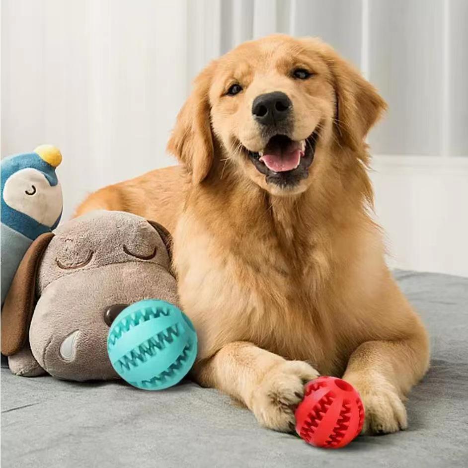 Interactive Dog Treat Ball – Chew Toy with Hemp Rope