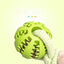 Interactive Dog Treat Ball – Chew Toy with Hemp Rope