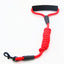 Anti-Pull Dog Chain Leash – Heavy-Duty Training Lead
