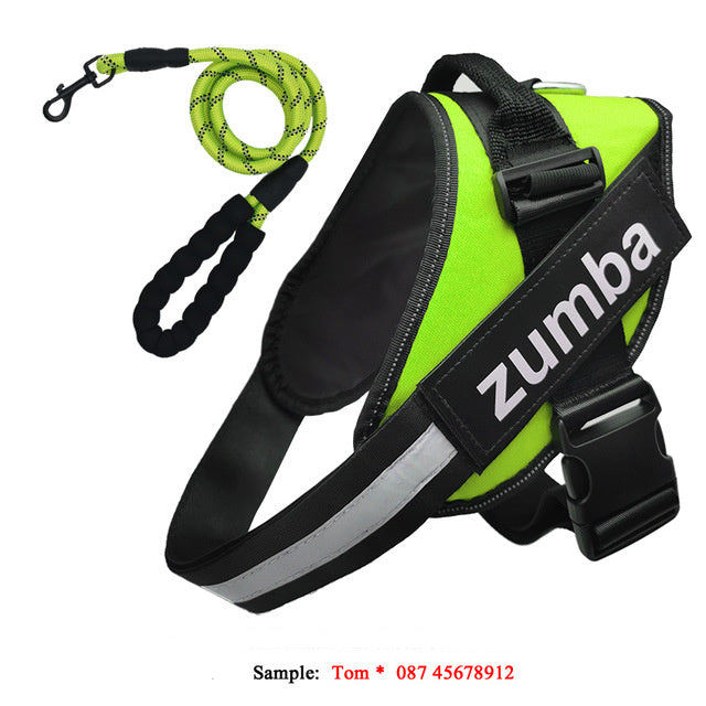 Reflective Adjustable Dog Harness & Leash Set – Personalized