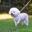 Adjustable Dog Harness & Leash Set – Comfortable Pet Walking Gear
