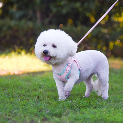 Adjustable Dog Harness & Leash Set – Comfortable Pet Walking Gear