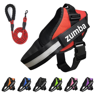 Reflective Adjustable Dog Harness & Leash Set – Personalized