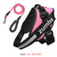 Reflective Adjustable Dog Harness & Leash Set – Personalized
