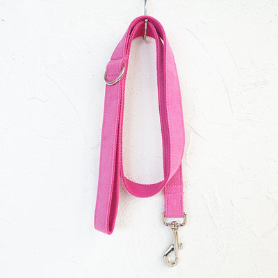 Dog Collar & Leash Set – Bite-Resistant Traction Rope for Pets