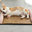 Summer Cooling Pet Mat – Breathable Sleeping Pad for Cats & Dogs