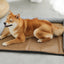 Summer Cooling Pet Mat – Breathable Sleeping Pad for Cats & Dogs