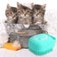 Silicone Pet Bath Brush – Shampoo Massager for Dogs & Cats