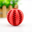 Rubber Dog Treat Ball – Mint Scent Food Dispensing Toy