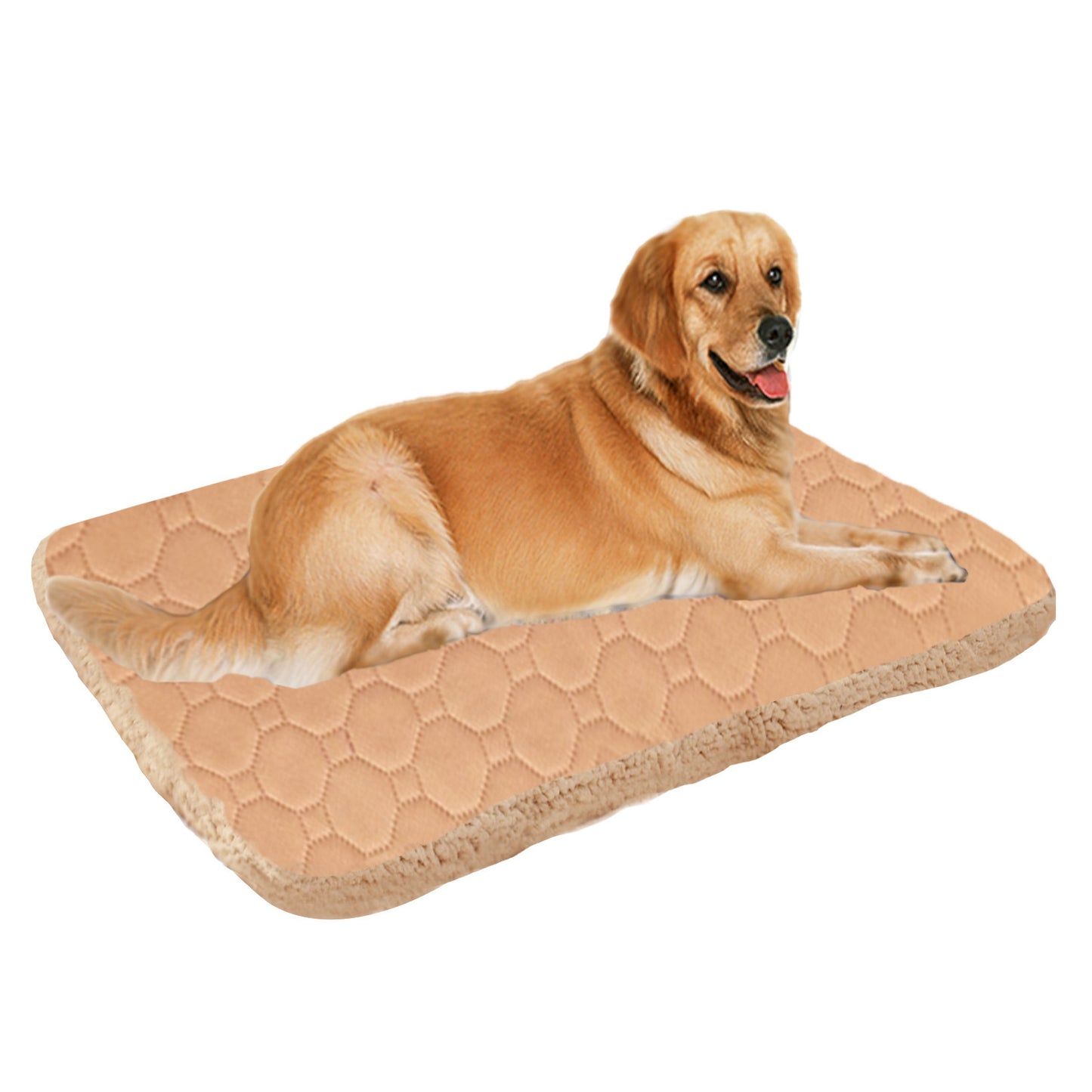 3-Layer Pet Mat – Quick Absorbent & Warm Dog Cat Sleeping Pad