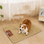 Summer Cooling Pet Mat – Universal Cold Pad