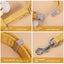 Pet Leash with Handle – Durable Rope