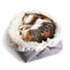 Folding Plush Pet Mat – Dual-Purpose Convertible Bed for Cats & Dogs